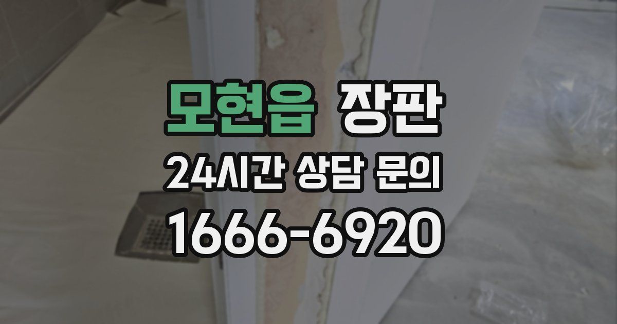 모현읍 장판