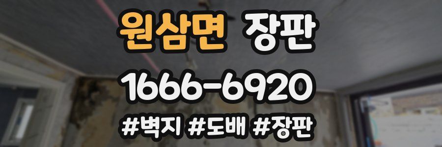 원삼면 장판