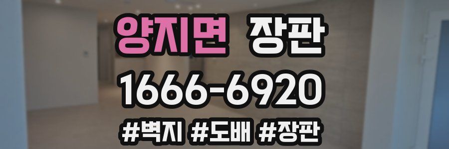 양지면 장판