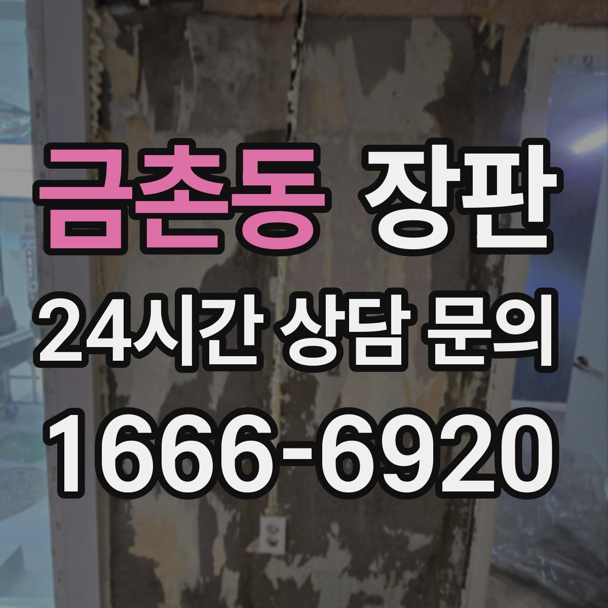 금촌동 장판