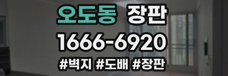 오도동 장판