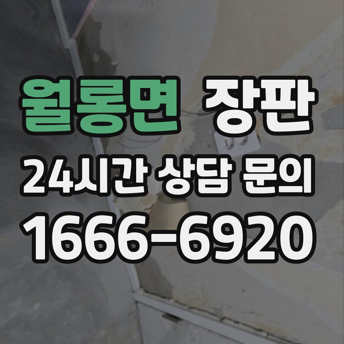 월롱면 장판