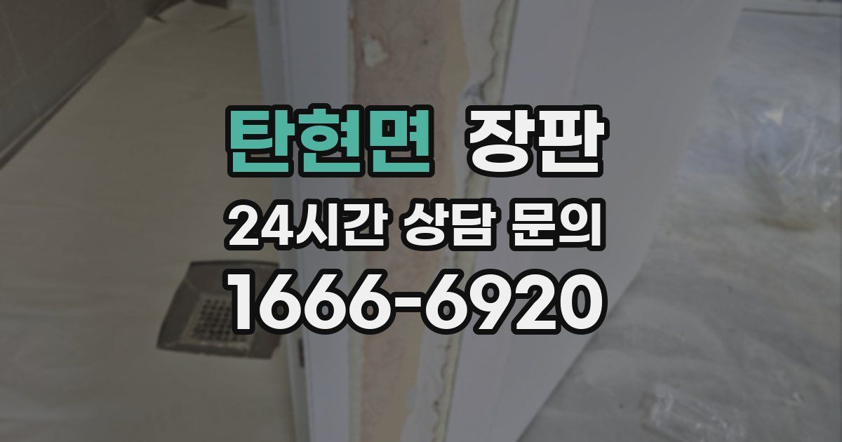 탄현면 장판