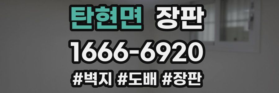 탄현면 장판