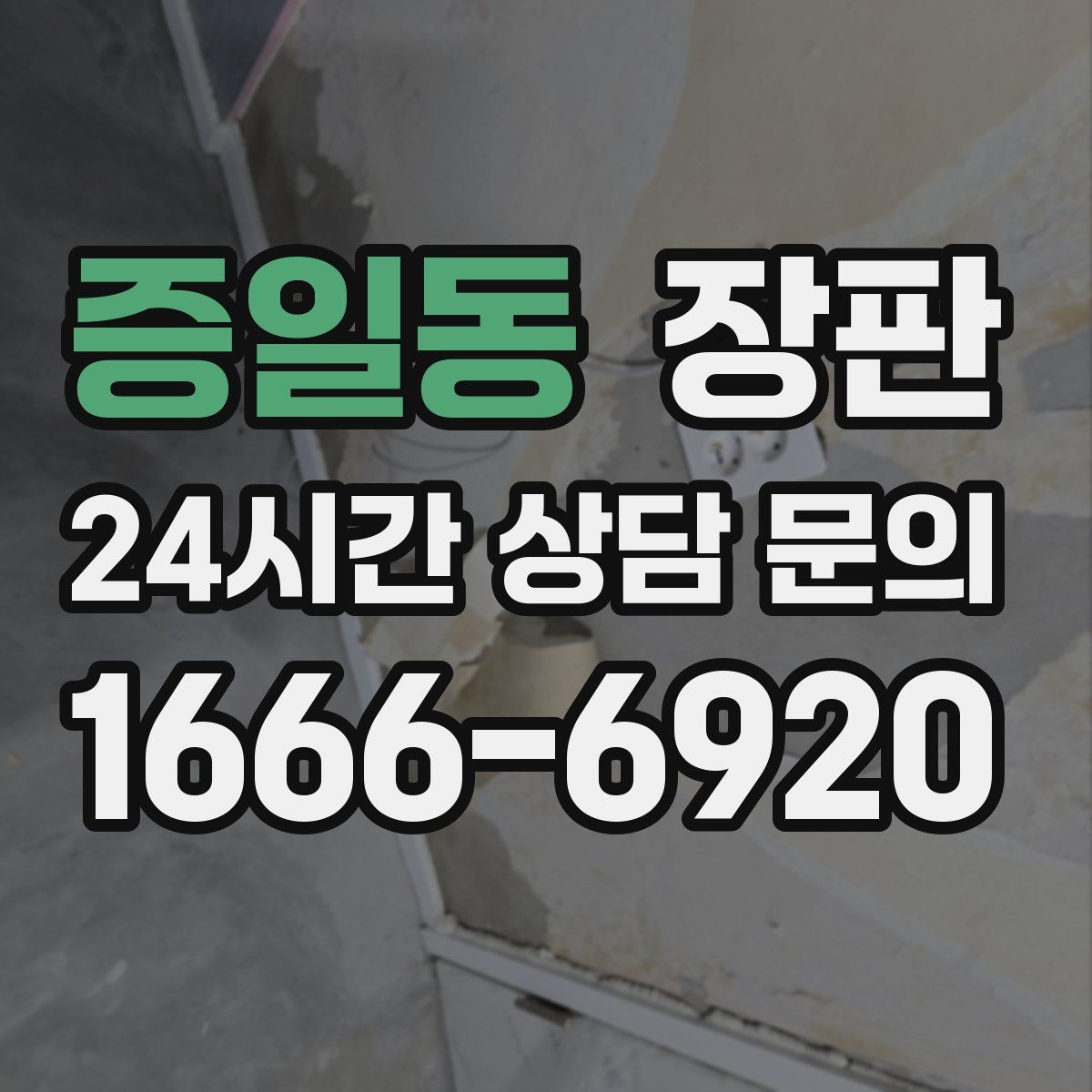 증일동 장판