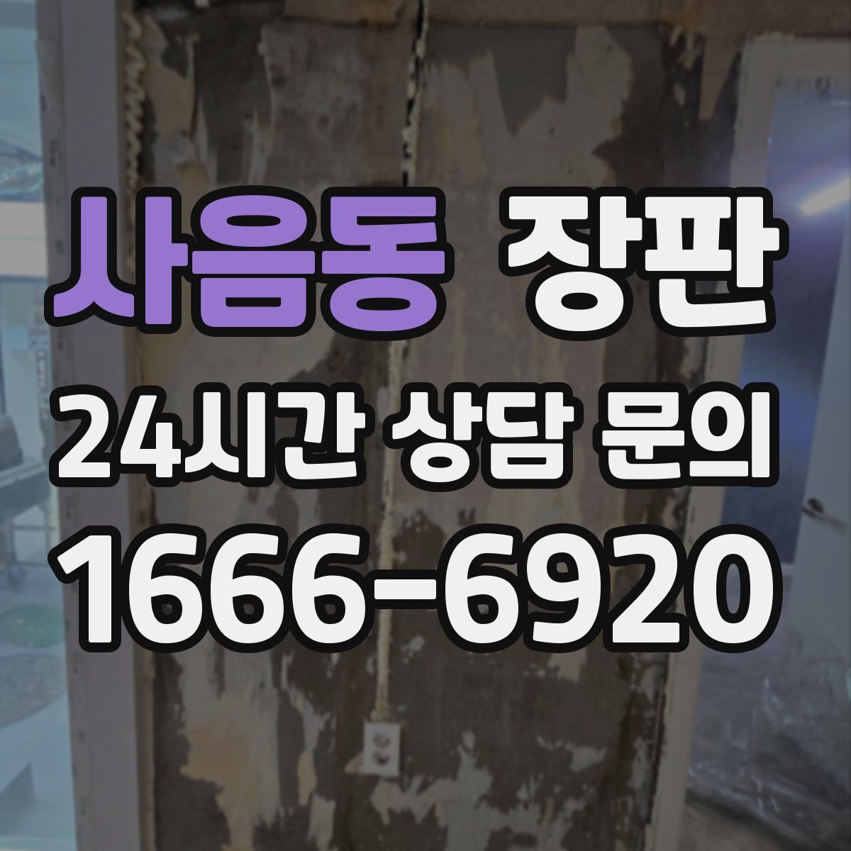 사음동 장판