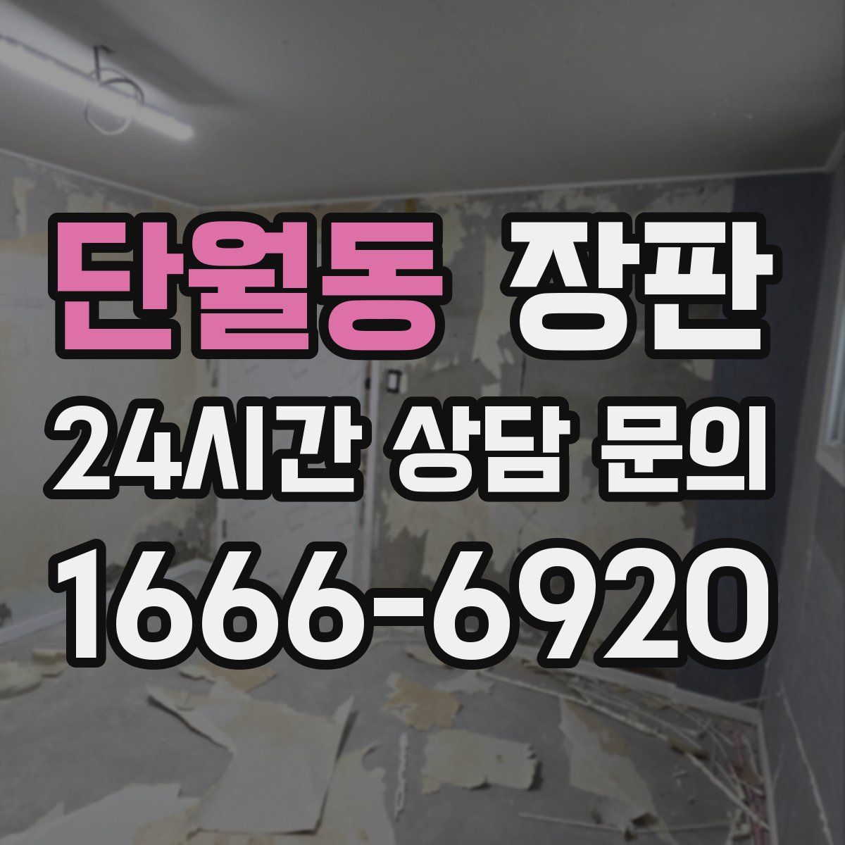 단월동 장판