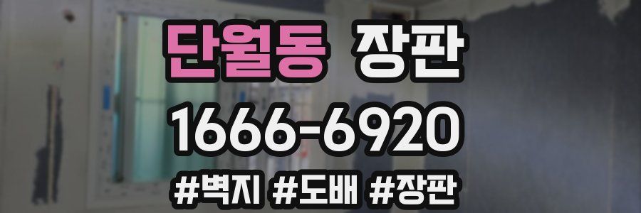 단월동 장판
