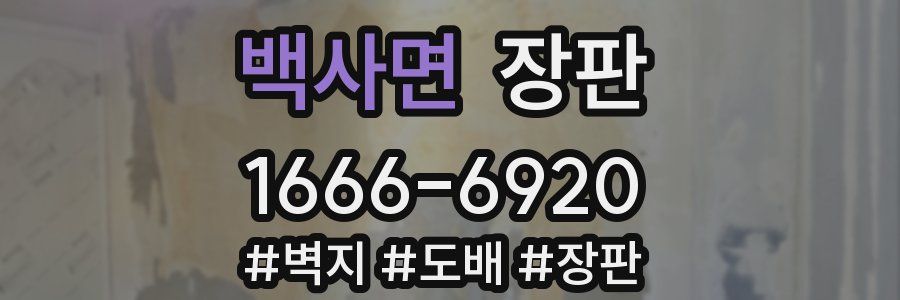 백사면 장판