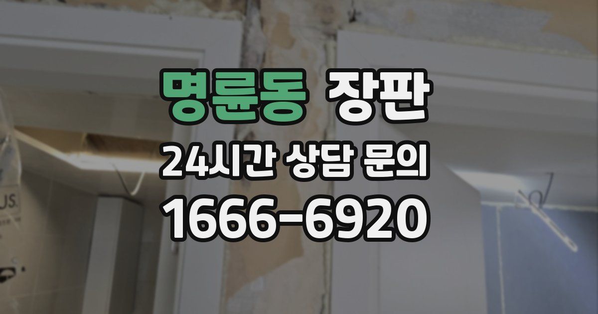 명륜동 장판