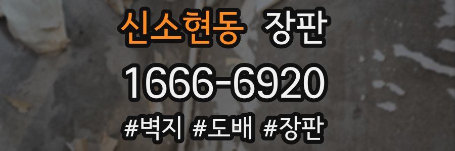 신소현동 장판