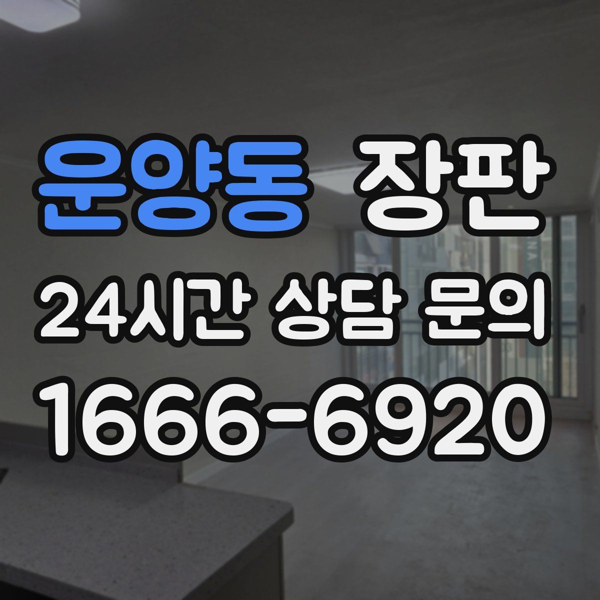 운양동 장판