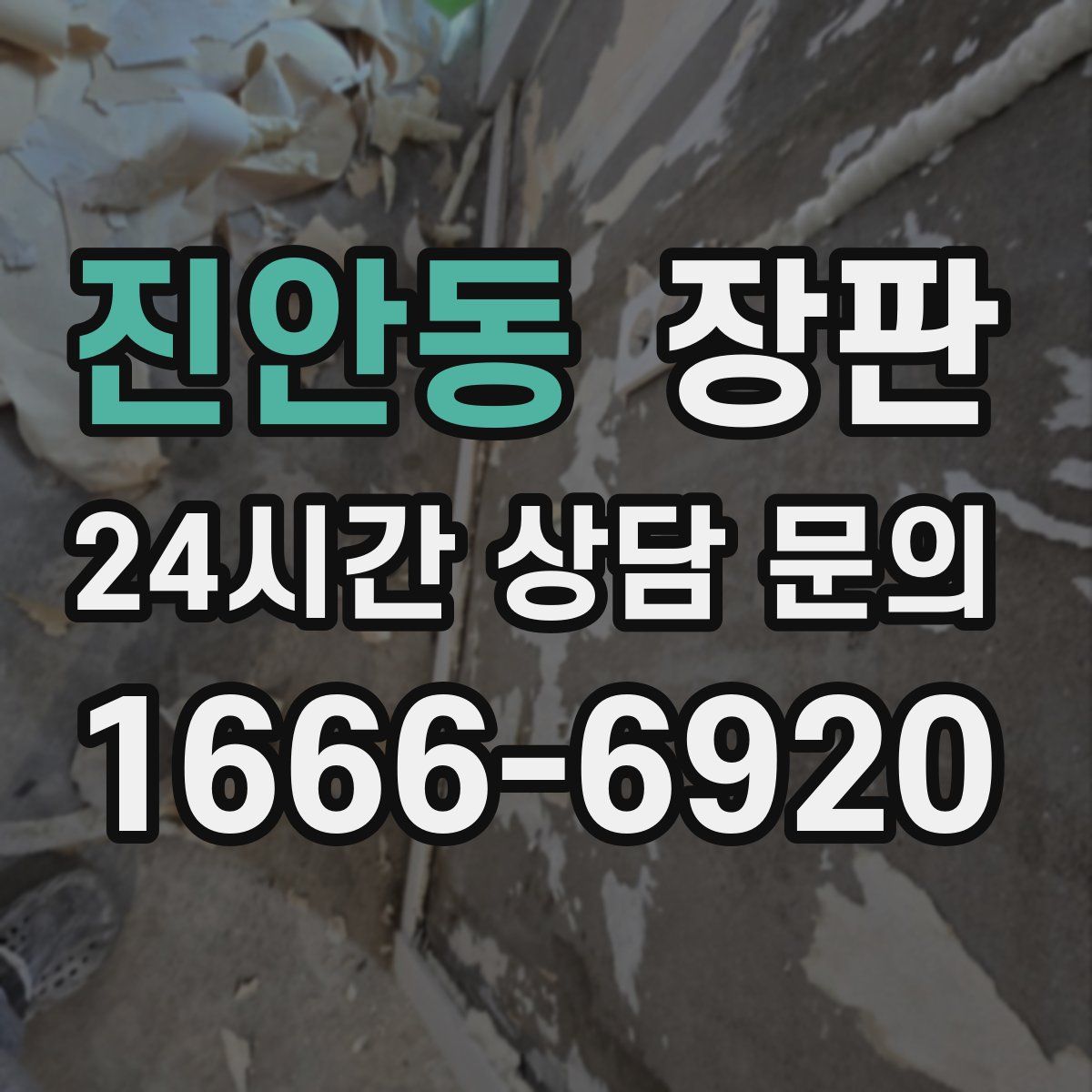 진안동 장판