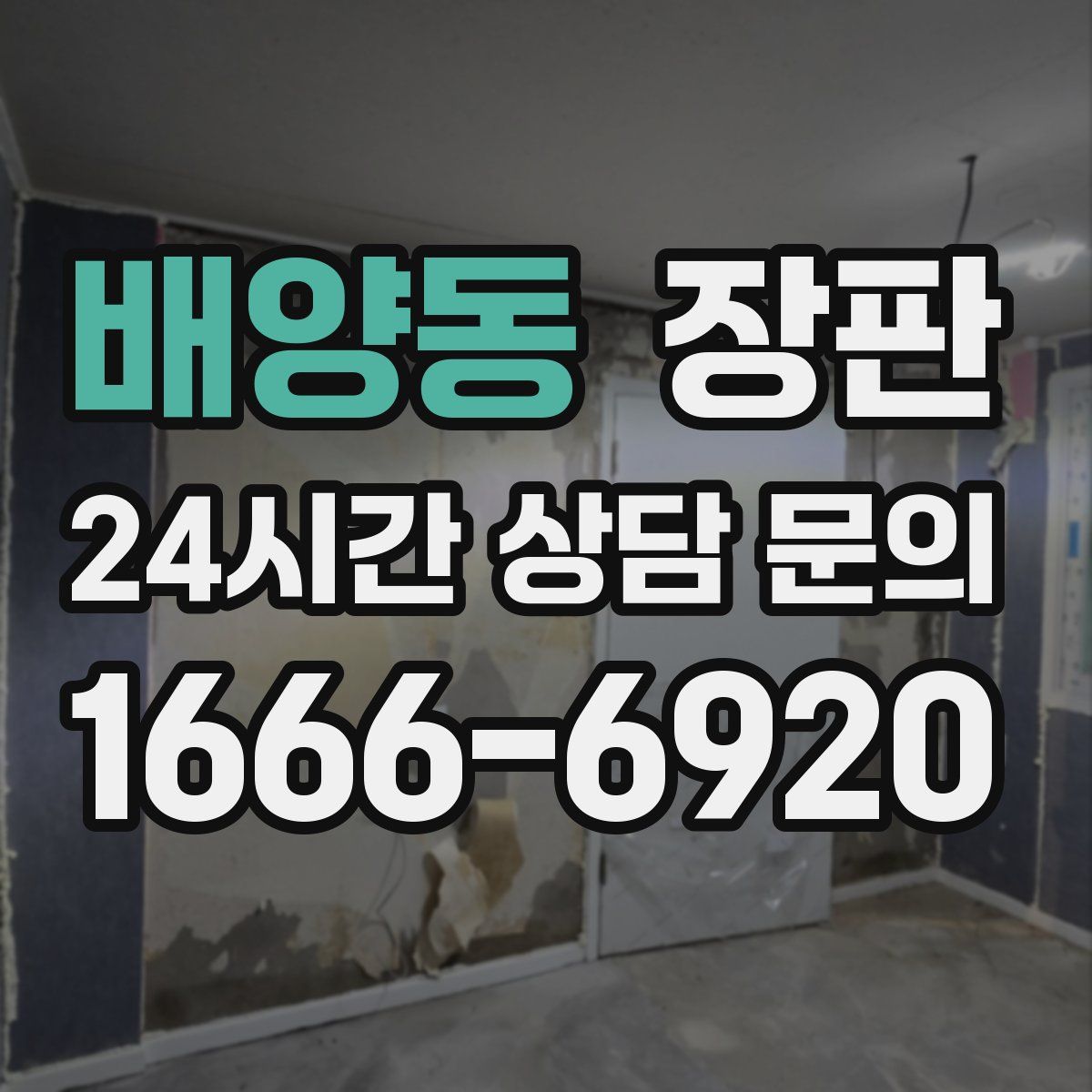 배양동 장판