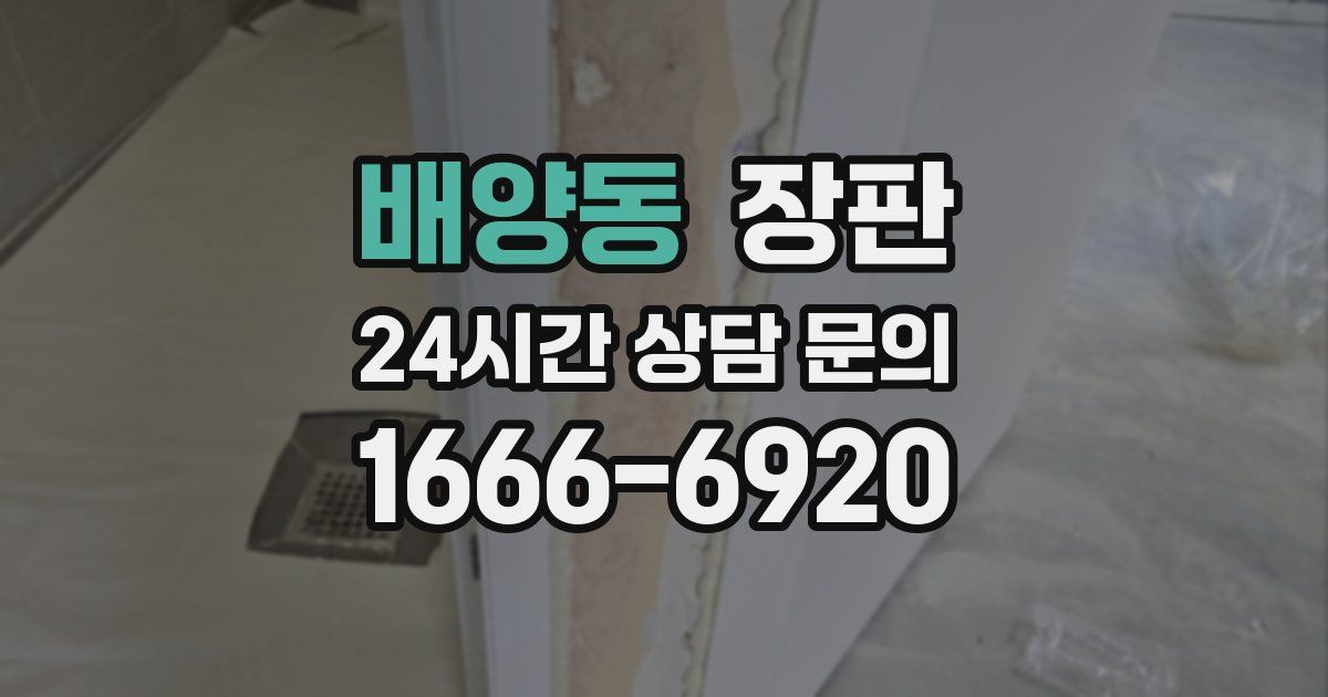 배양동 장판