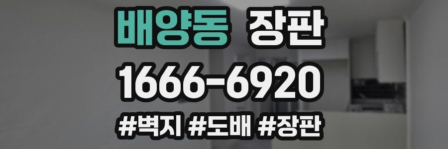 배양동 장판