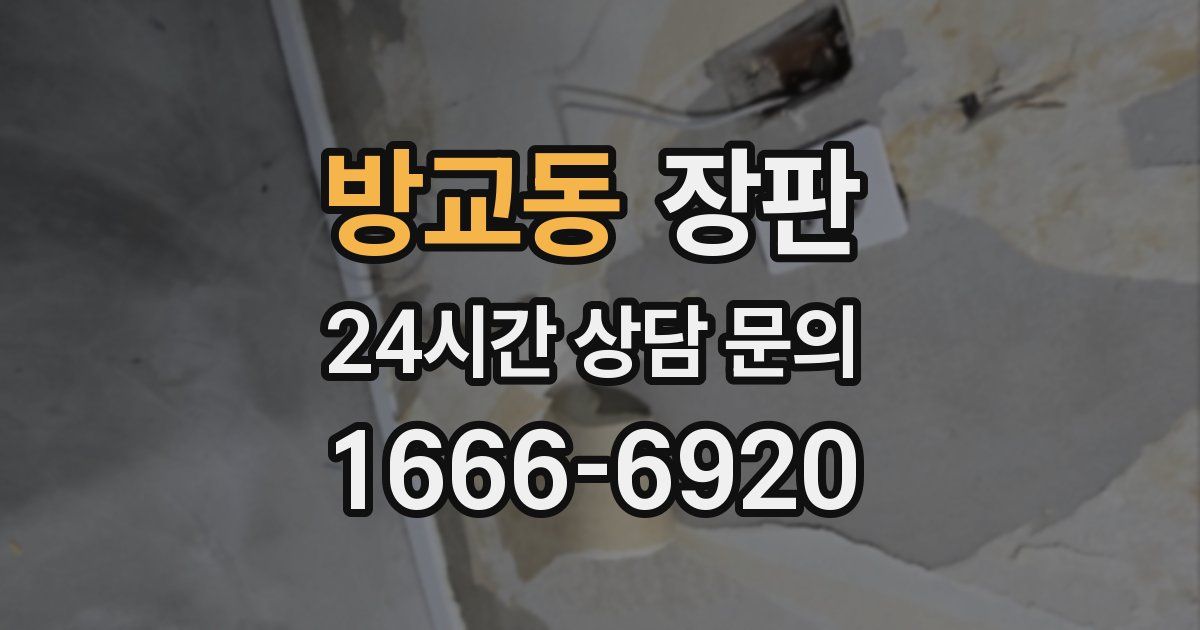 방교동 장판