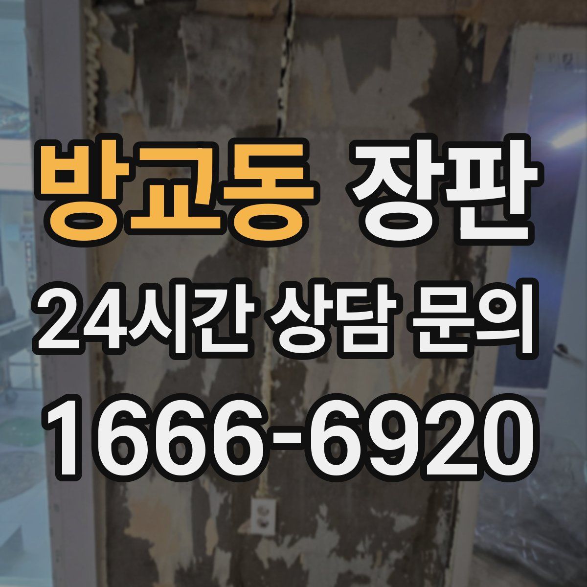 방교동 장판
