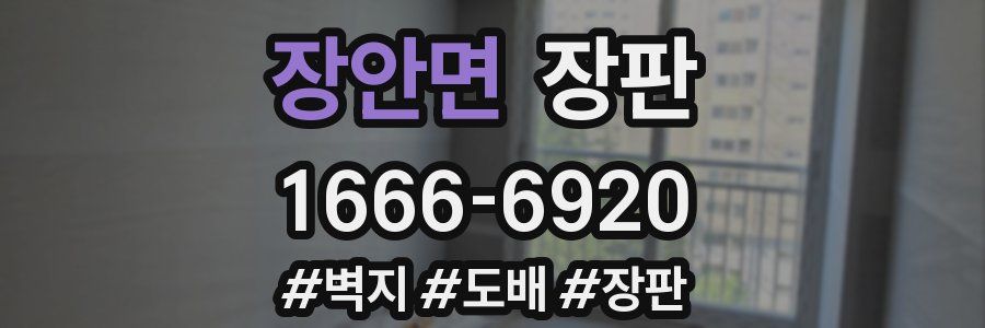 장안면 장판