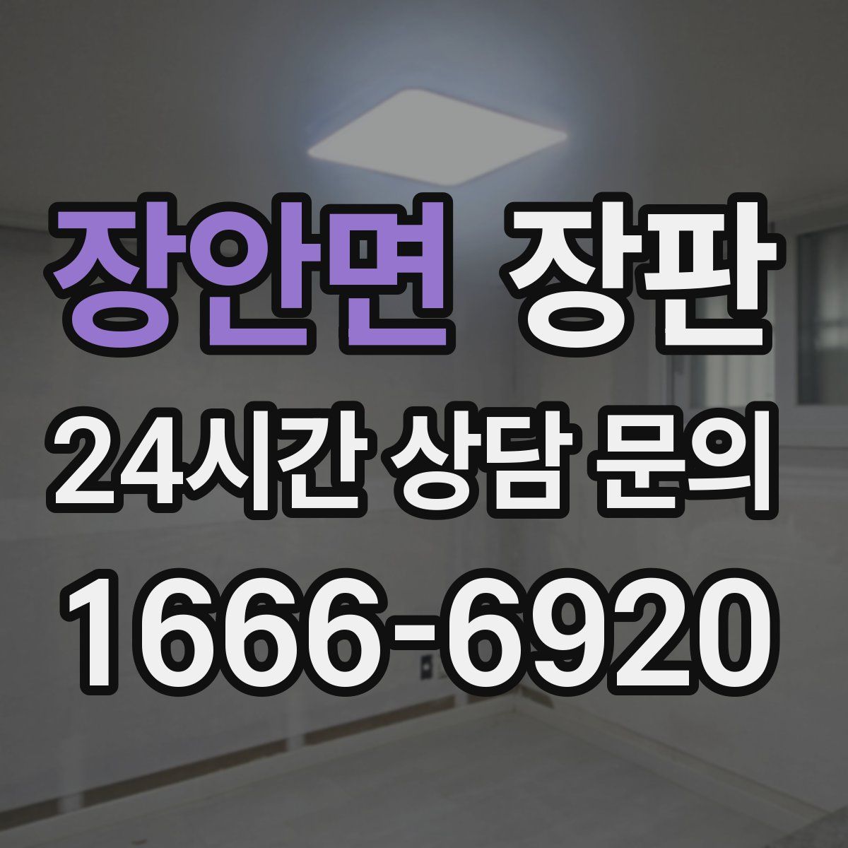 장안면 장판