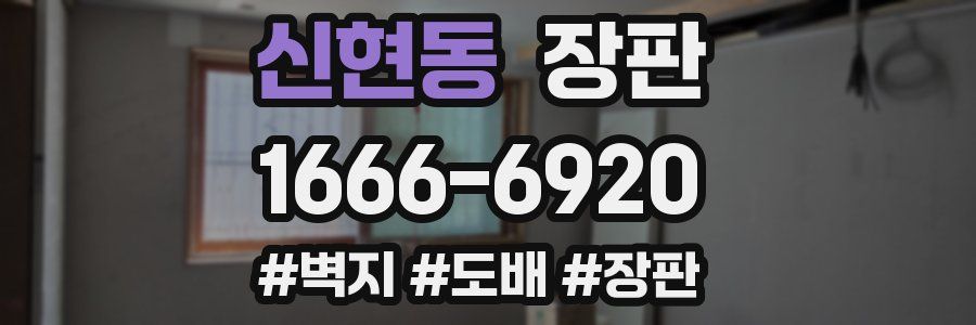 신현동 장판