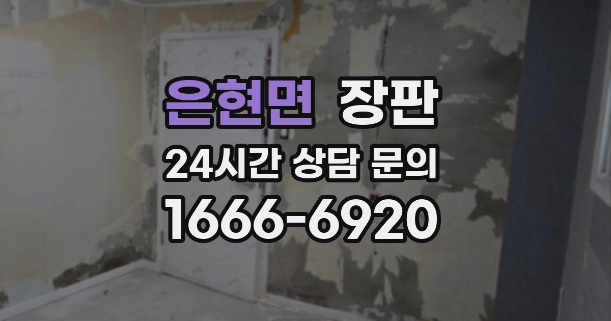 은현면 장판