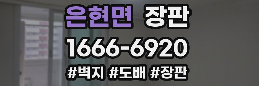 은현면 장판