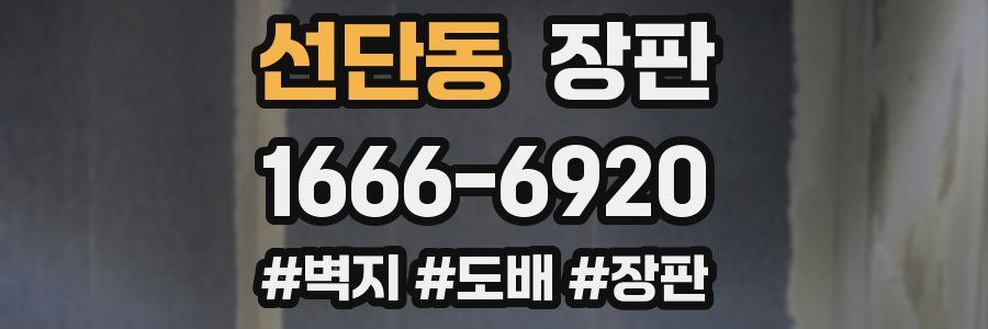 선단동 장판