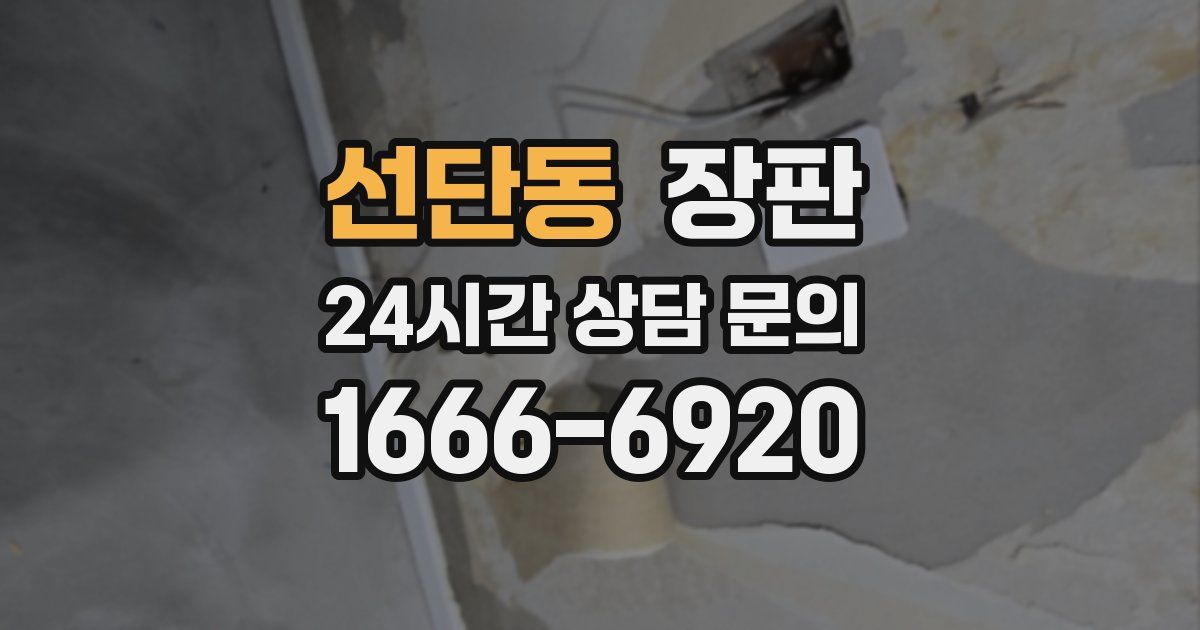 선단동 장판