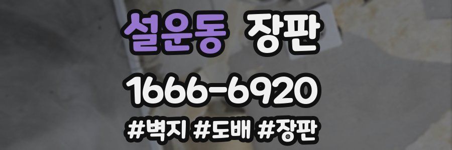 설운동 장판