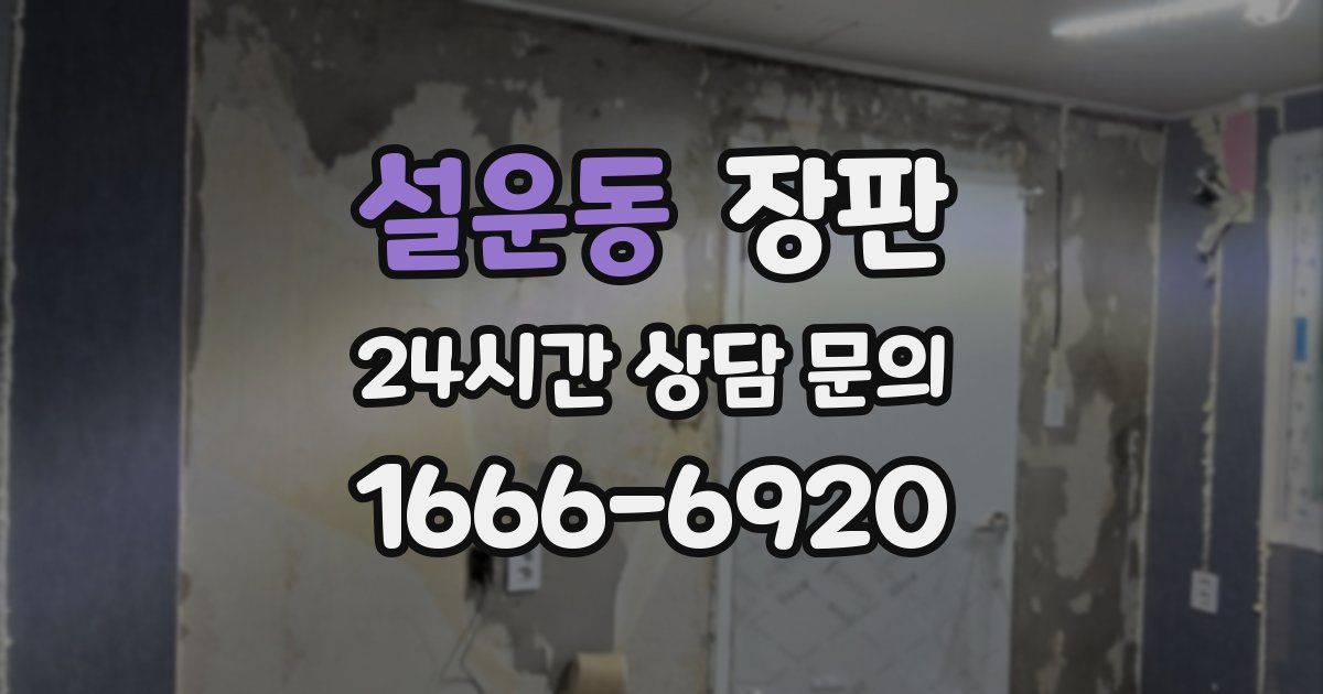 설운동 장판