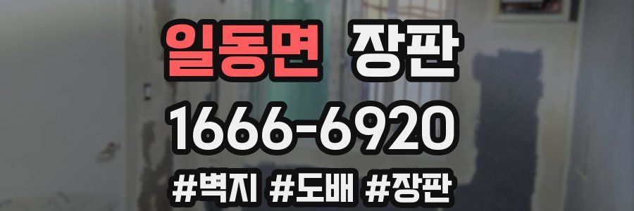 일동면 장판