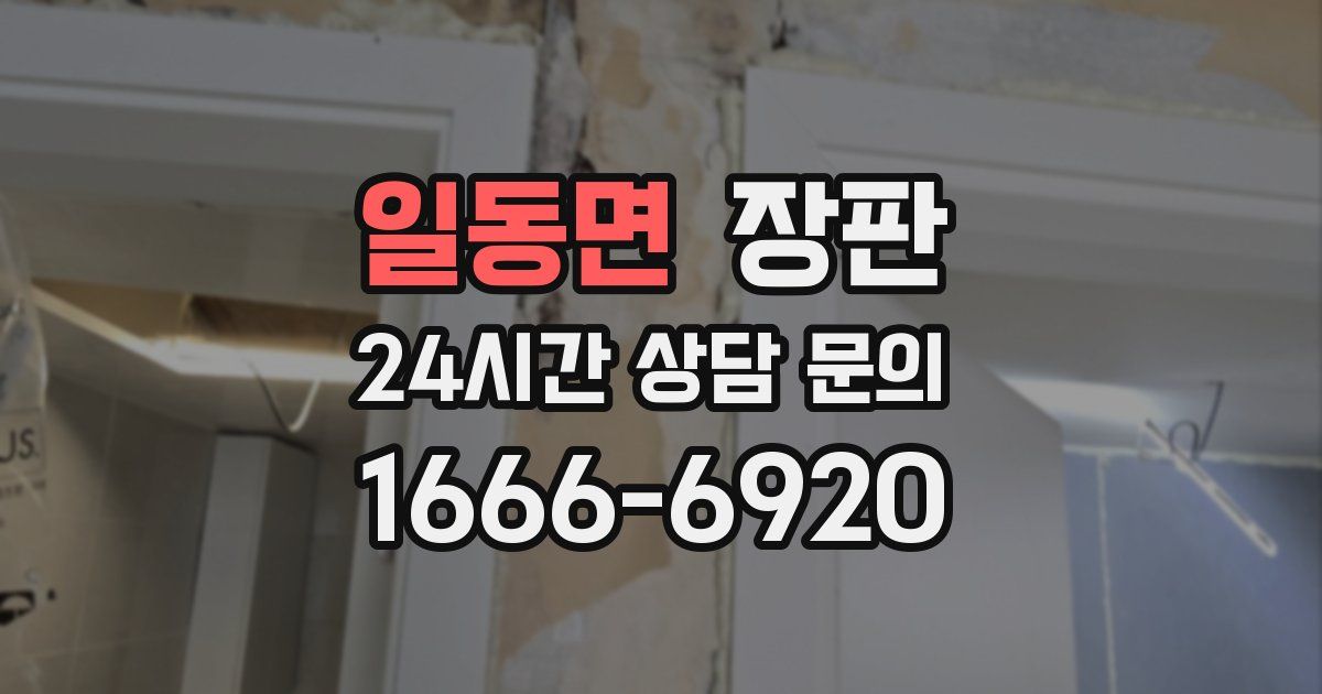 일동면 장판