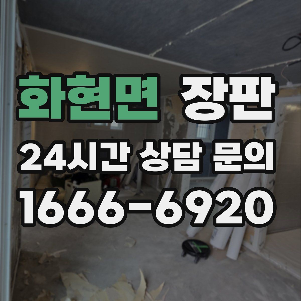 화현면 장판 반려동물과 함께 쓸 때 유의점