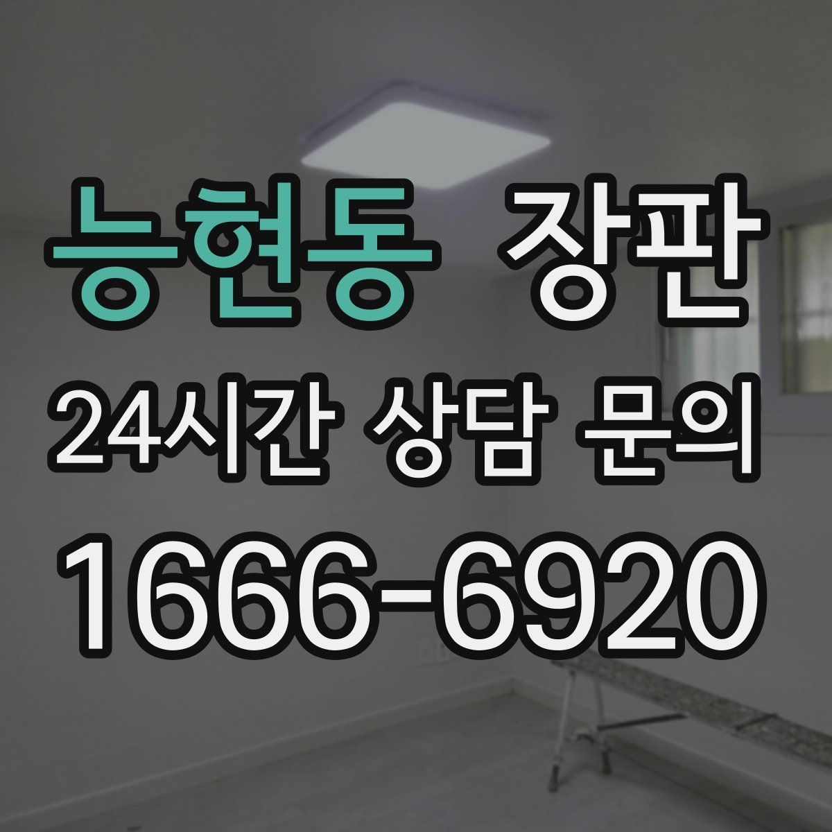 능현동 장판