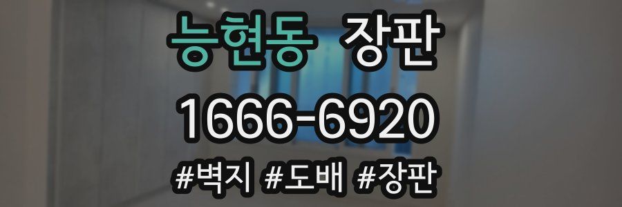 능현동 장판