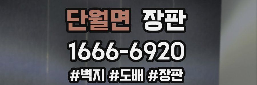 단월면 장판