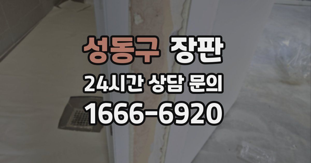 성동구 장판