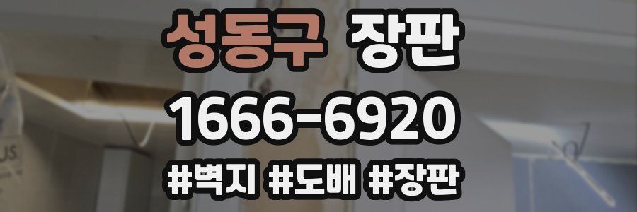 성동구 장판
