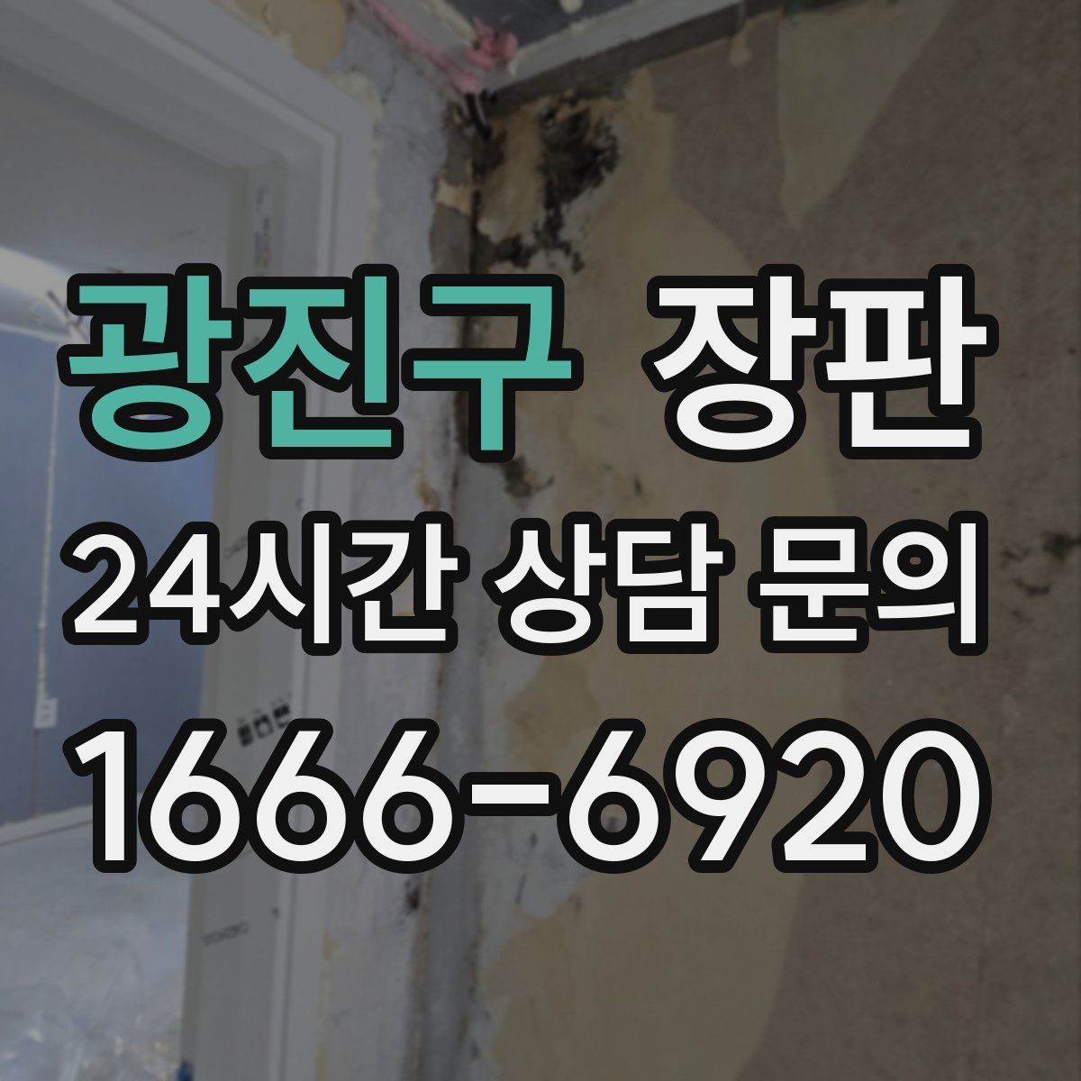 광진구 장판