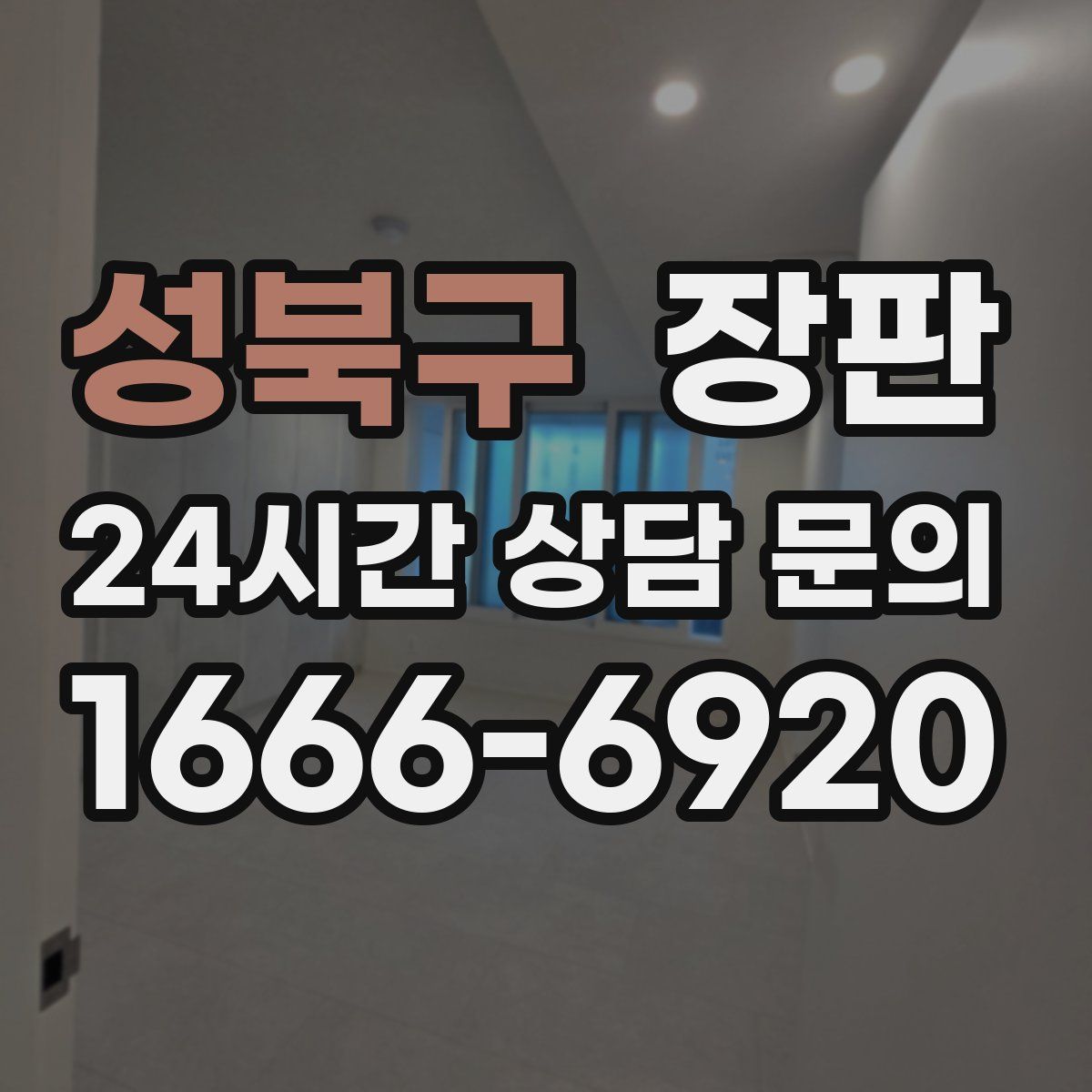 성북구 장판