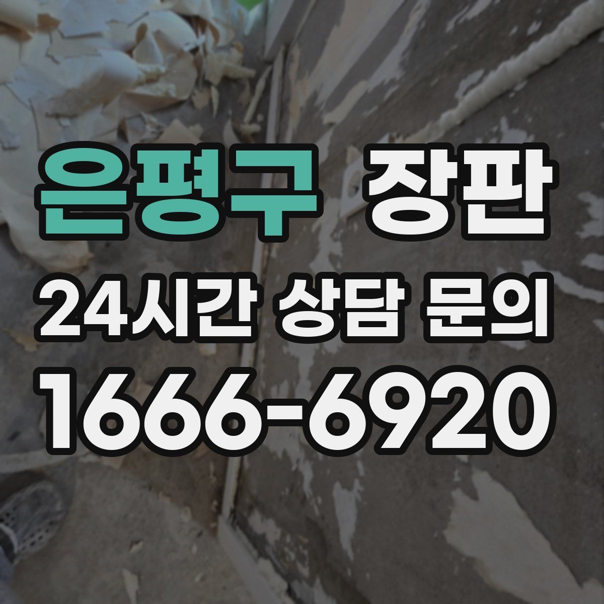 은평구 장판