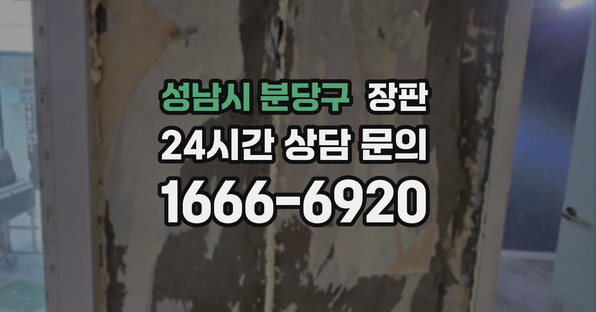 성남시 분당구 장판