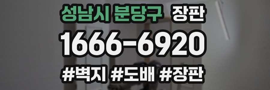 성남시 분당구 장판