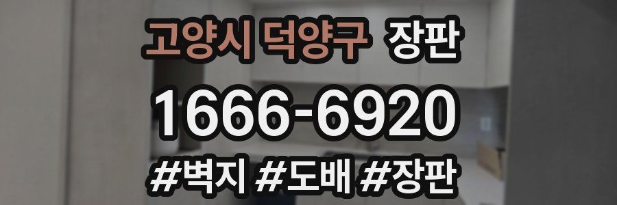 고양시 덕양구 장판