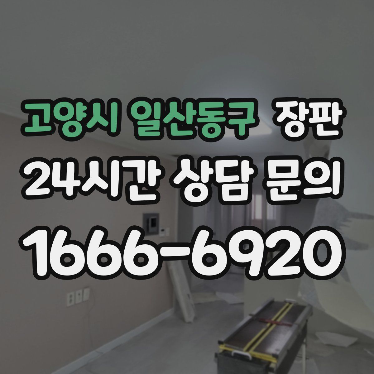 고양시 일산동구 장판