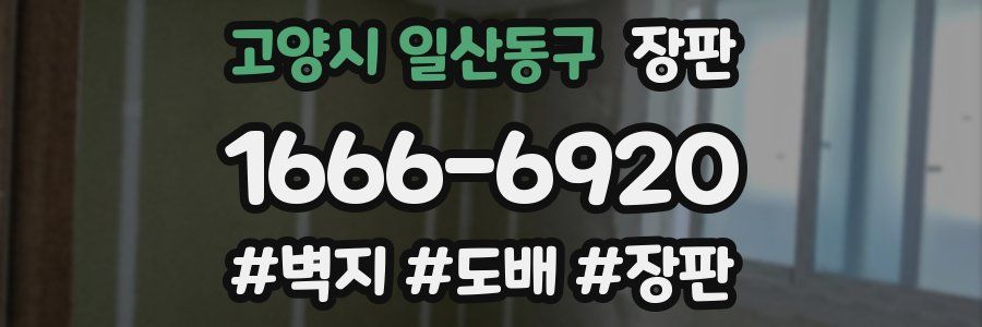 고양시 일산동구 장판