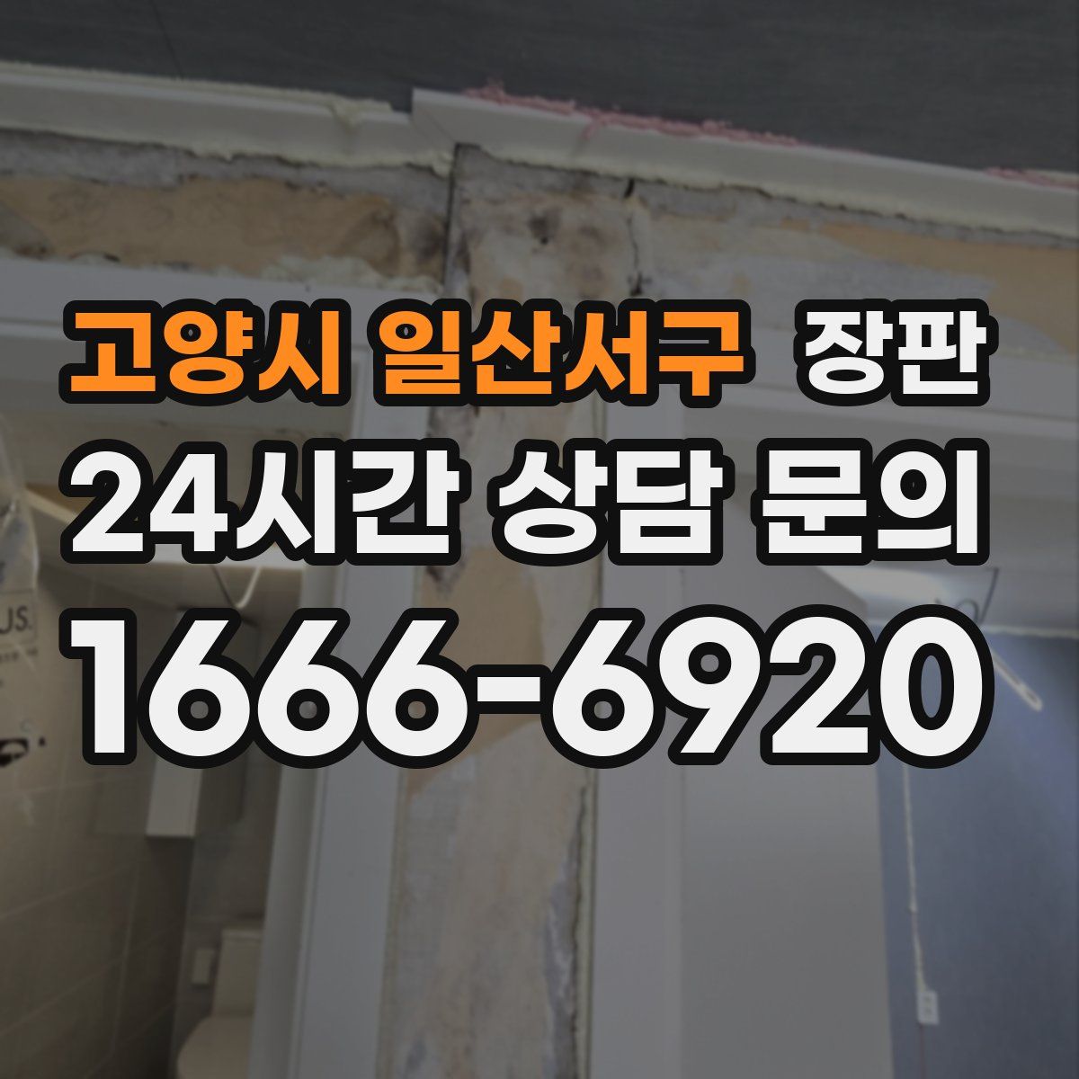 고양시 일산서구 장판