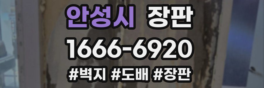 안성시 장판