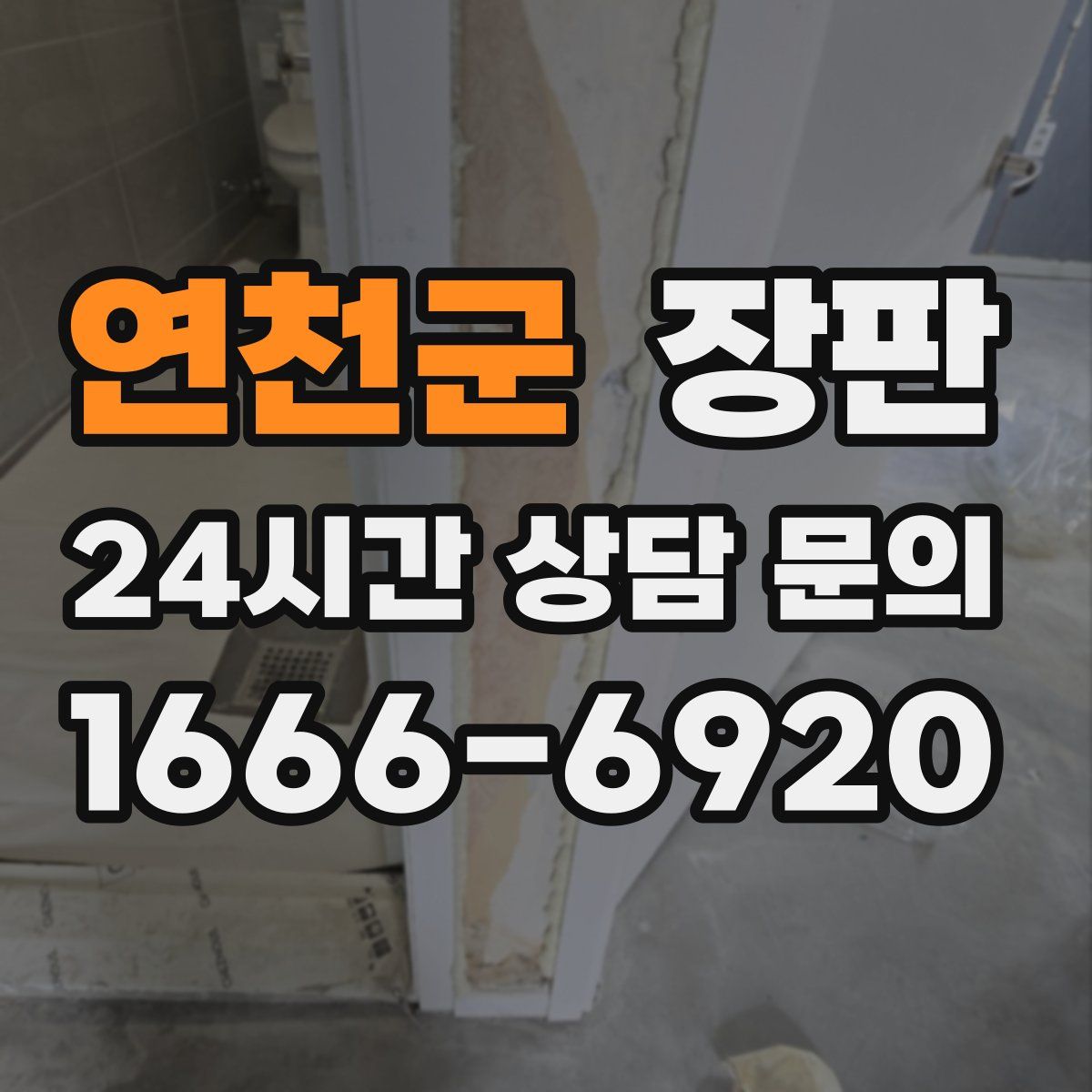 연천군 장판